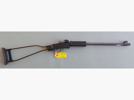 A 66 CHIAPPA Kal.22 WMR MOD. LITTLE BADG
