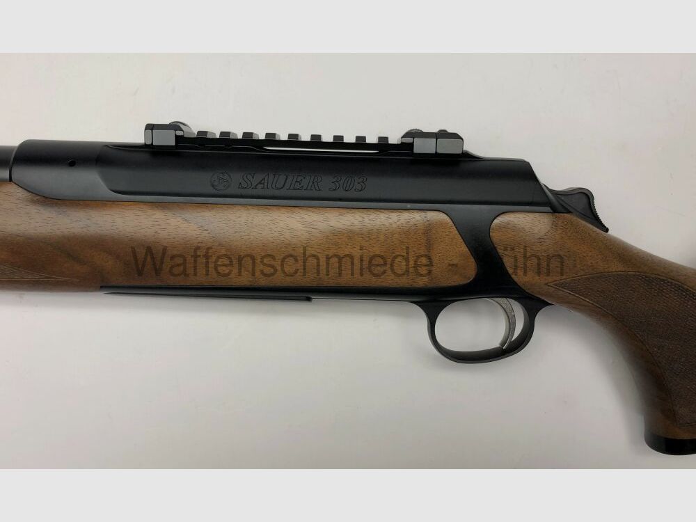 Sauer 303