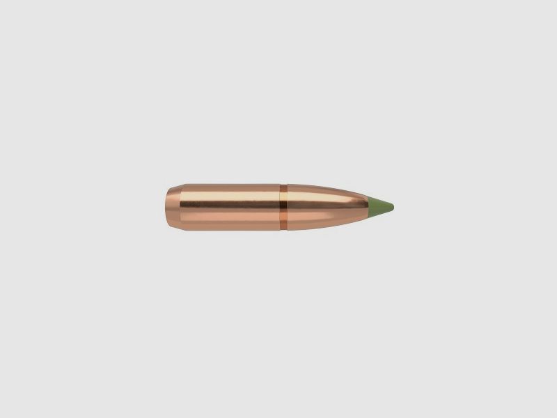 Nosler Hunting Cal .30 E-Tip Lead-Free - 180 Grain #59180