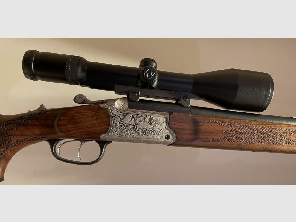 BLASER 95 LUXUS inkl. ZEISS ZF ´DIAVARI VM 3-12x56´