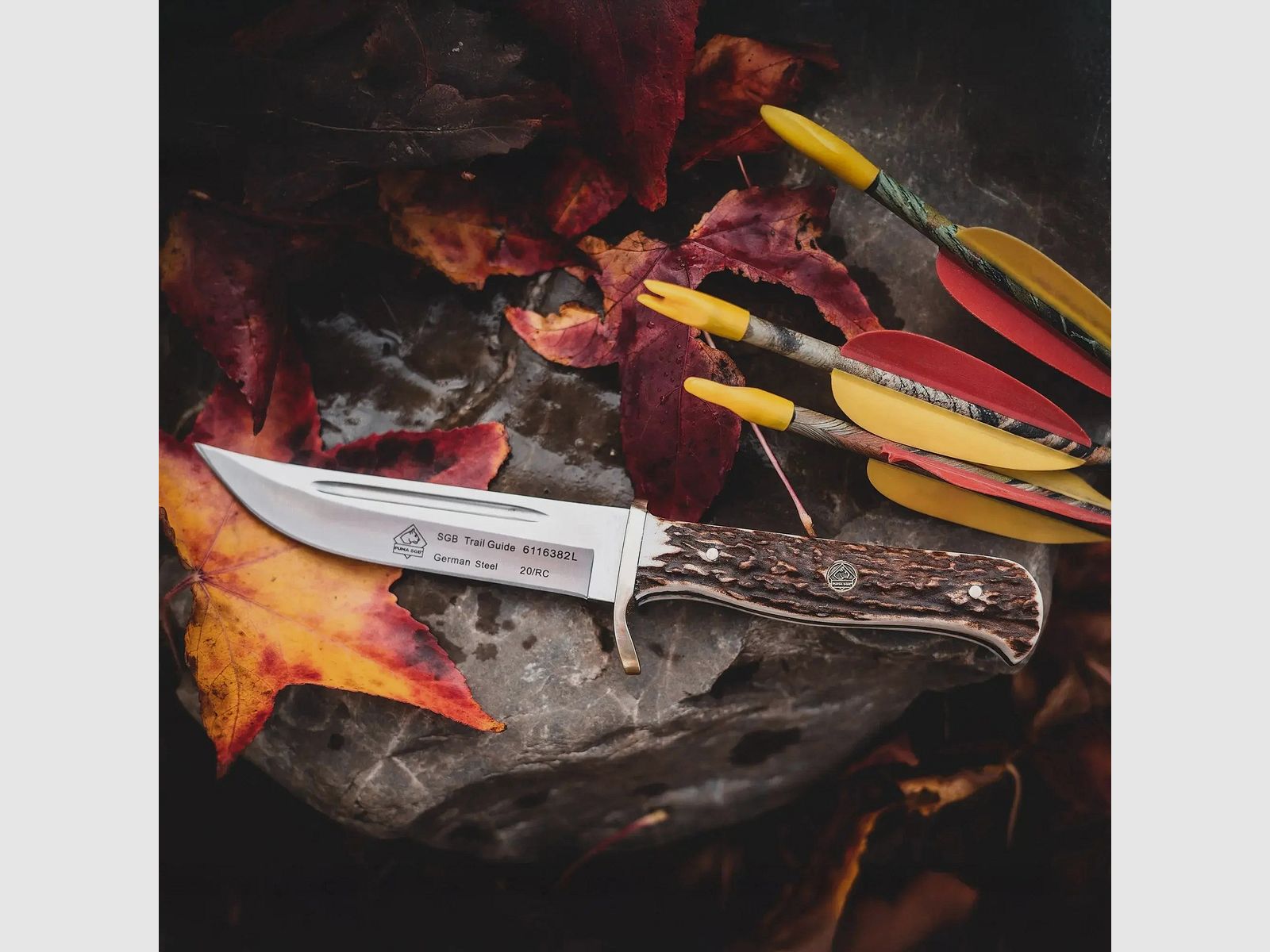 PUMA SGB trail guide, Stag