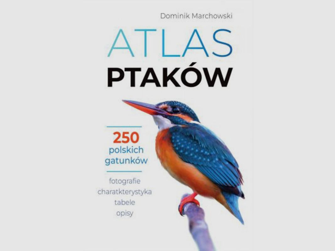 ATLAS DES OISEAUX – DOMINIK MARCHOWSKI