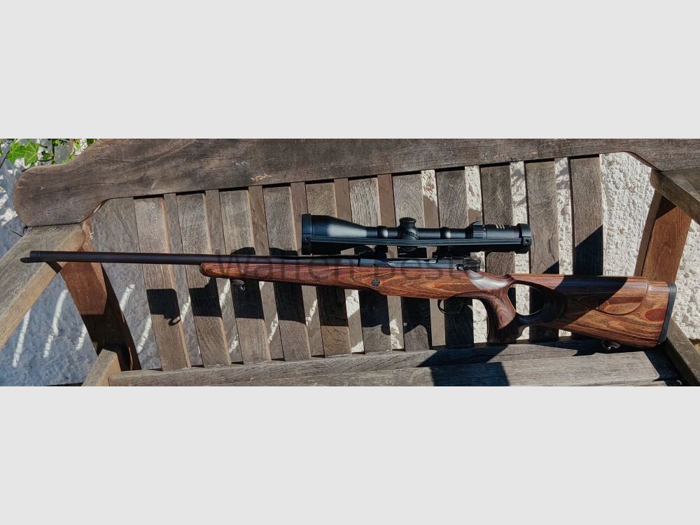 Mauser M12