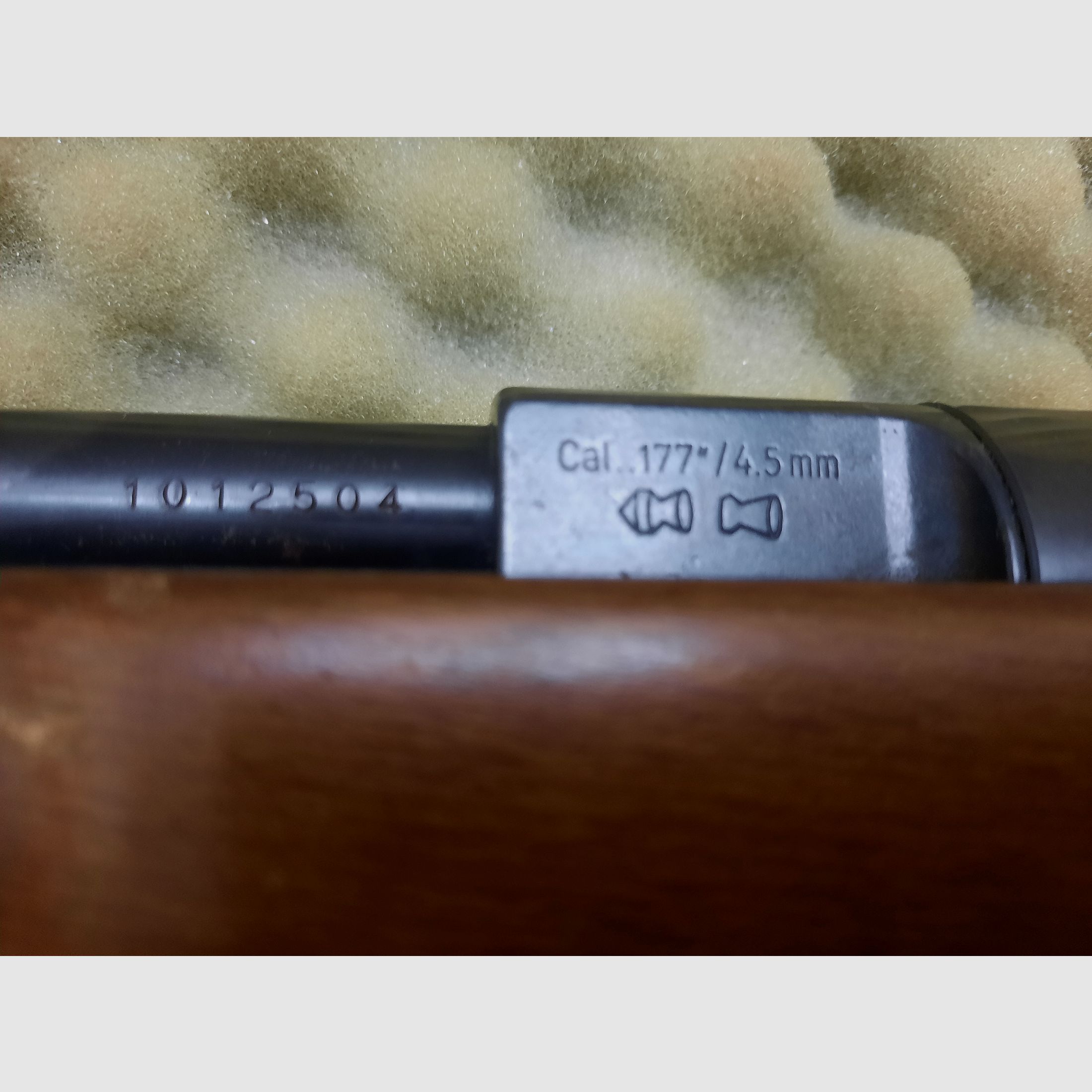 Hw77 F