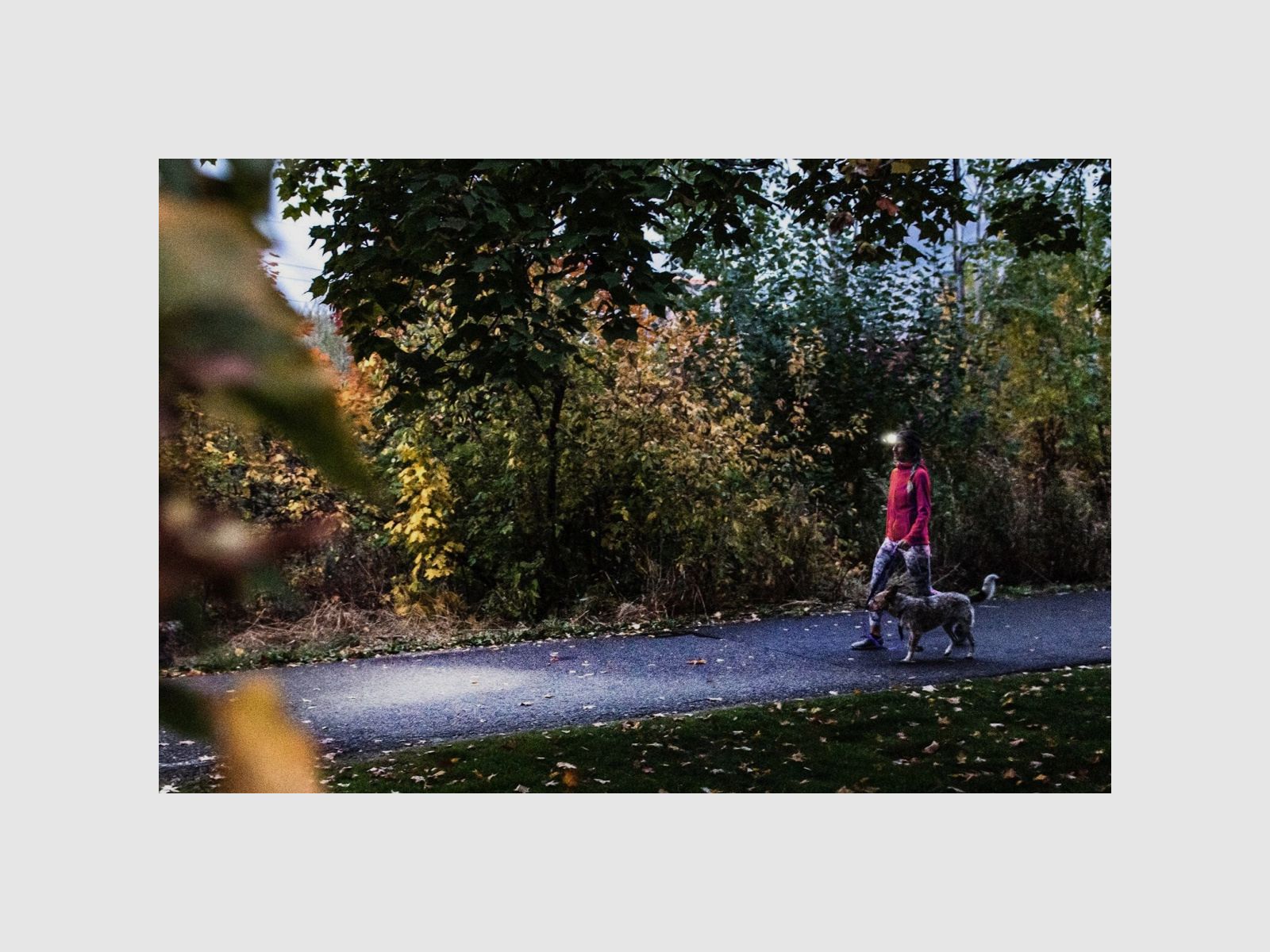 LEDLENSER HF4R CORE NERO