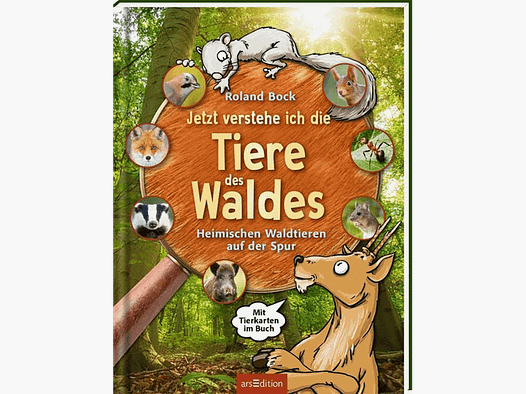 Kinderbuch "Jetzt verstehe ich die Tiere des Waldes"