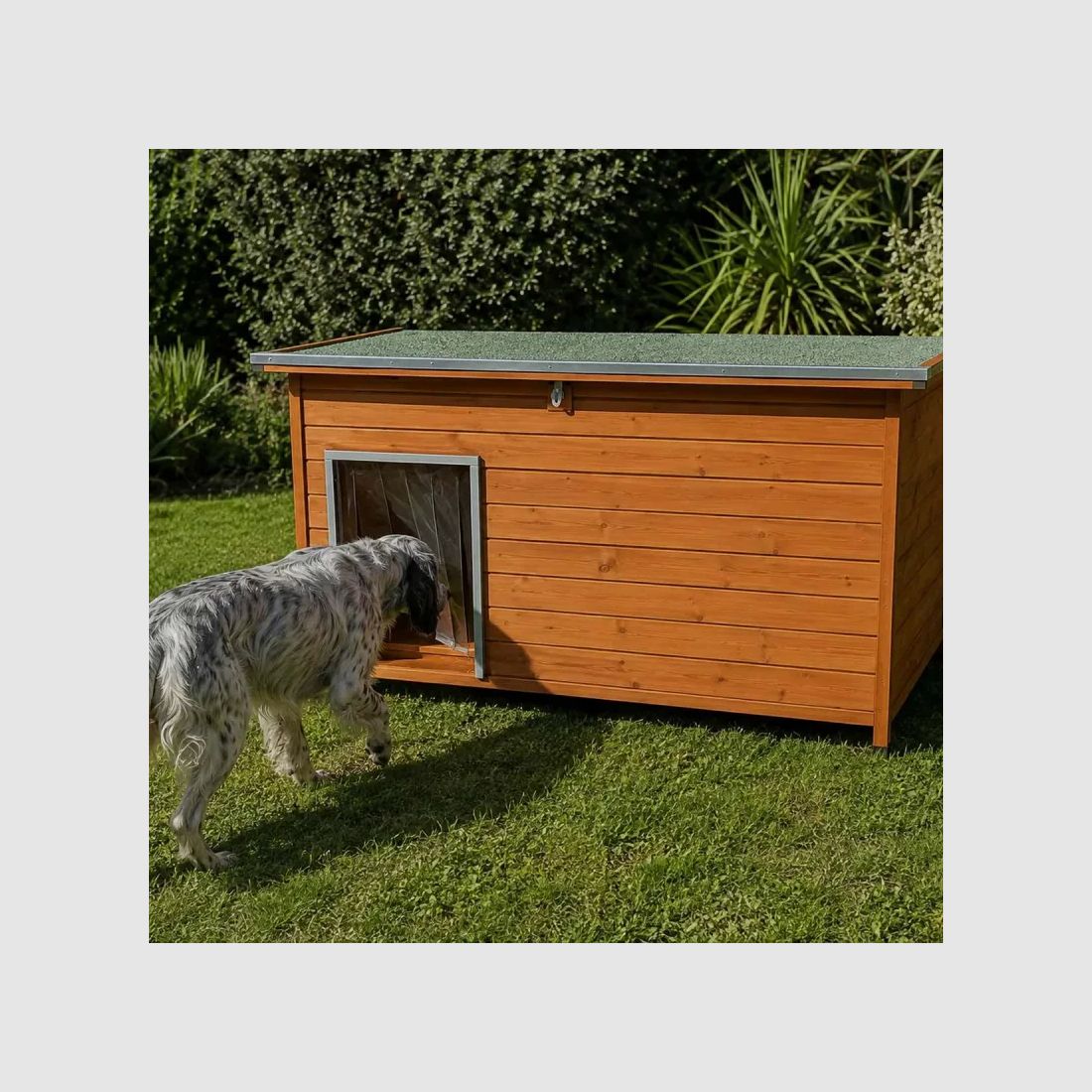 Nicho de madera de alta aislamiento Tamaño XL - Abeto 3 capas con techo impermeable, imagen 1 de 14