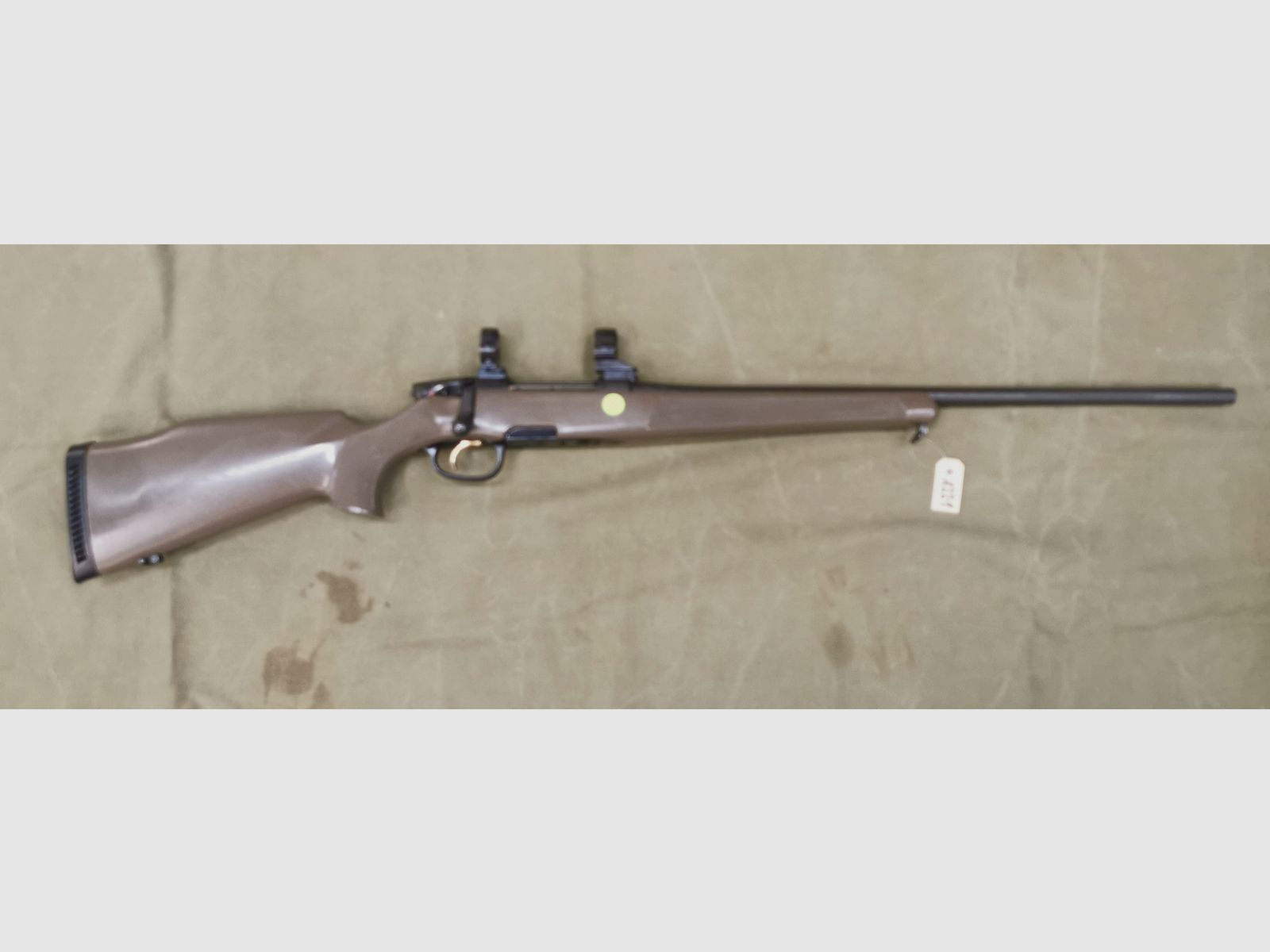Steyr Mannlicher M "green gun" Professional Hunter Modèle .30-06Spr.
