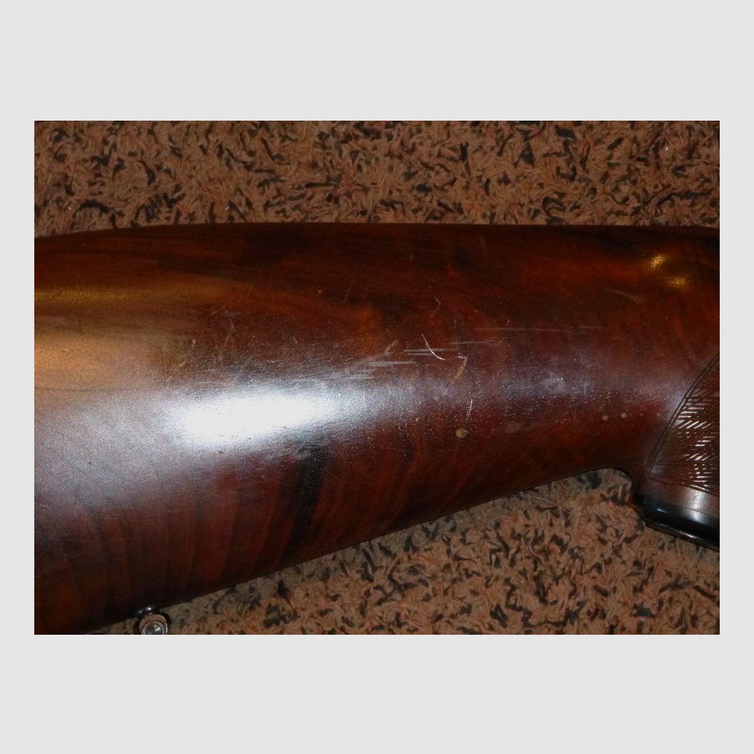Blaser ES70