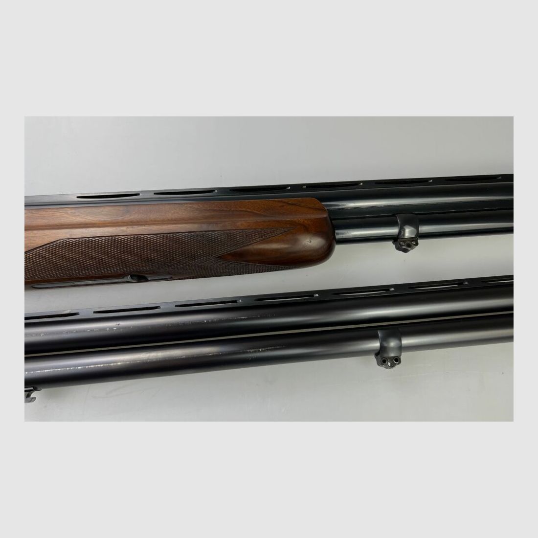 Rottweil Trap Montreal