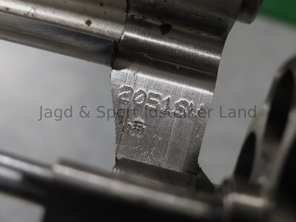 Colt Detective Special II