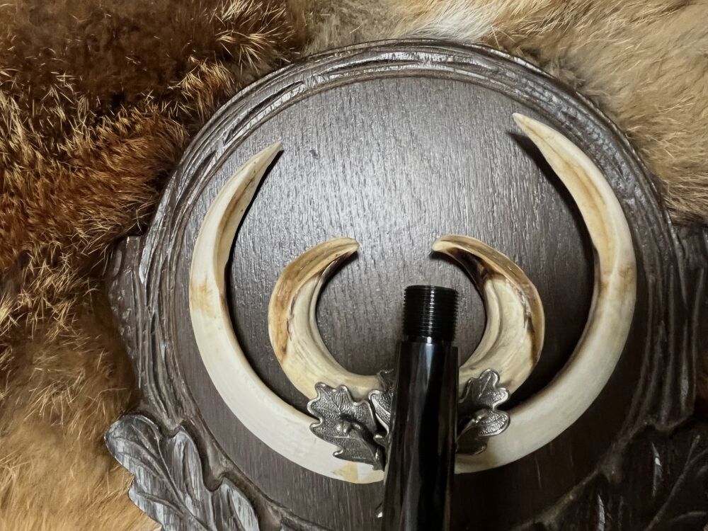 Steyr Mannlicher SBS