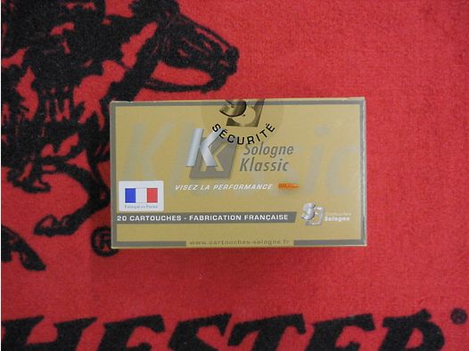 Sologne Nosler BT 30-06 180 gr