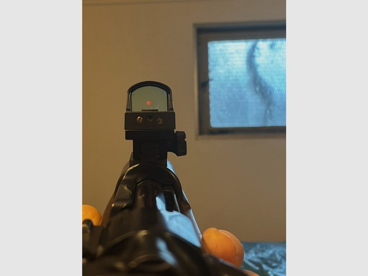 K98 mit DJ Visier 8x57IS