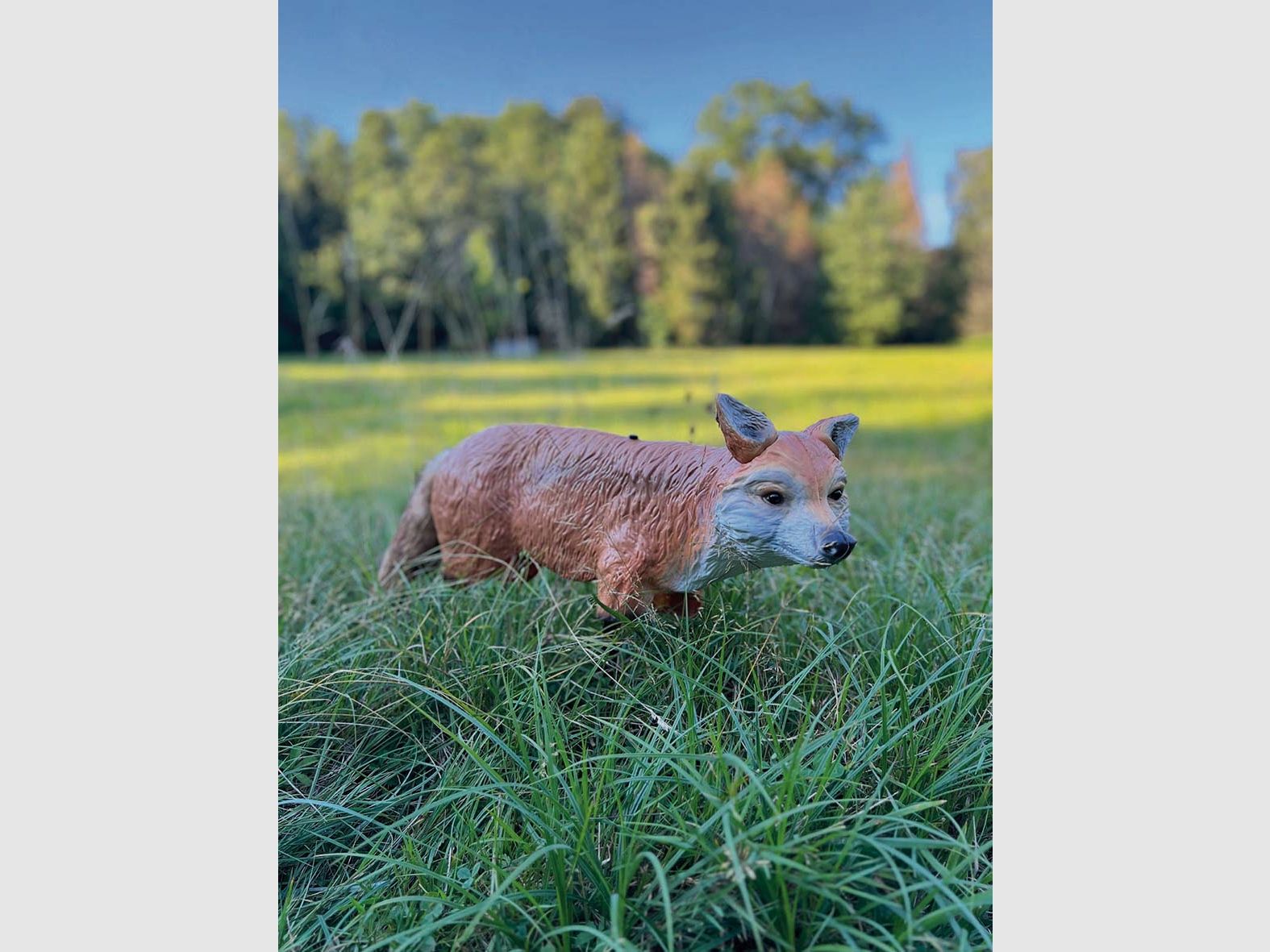 Fox decoy