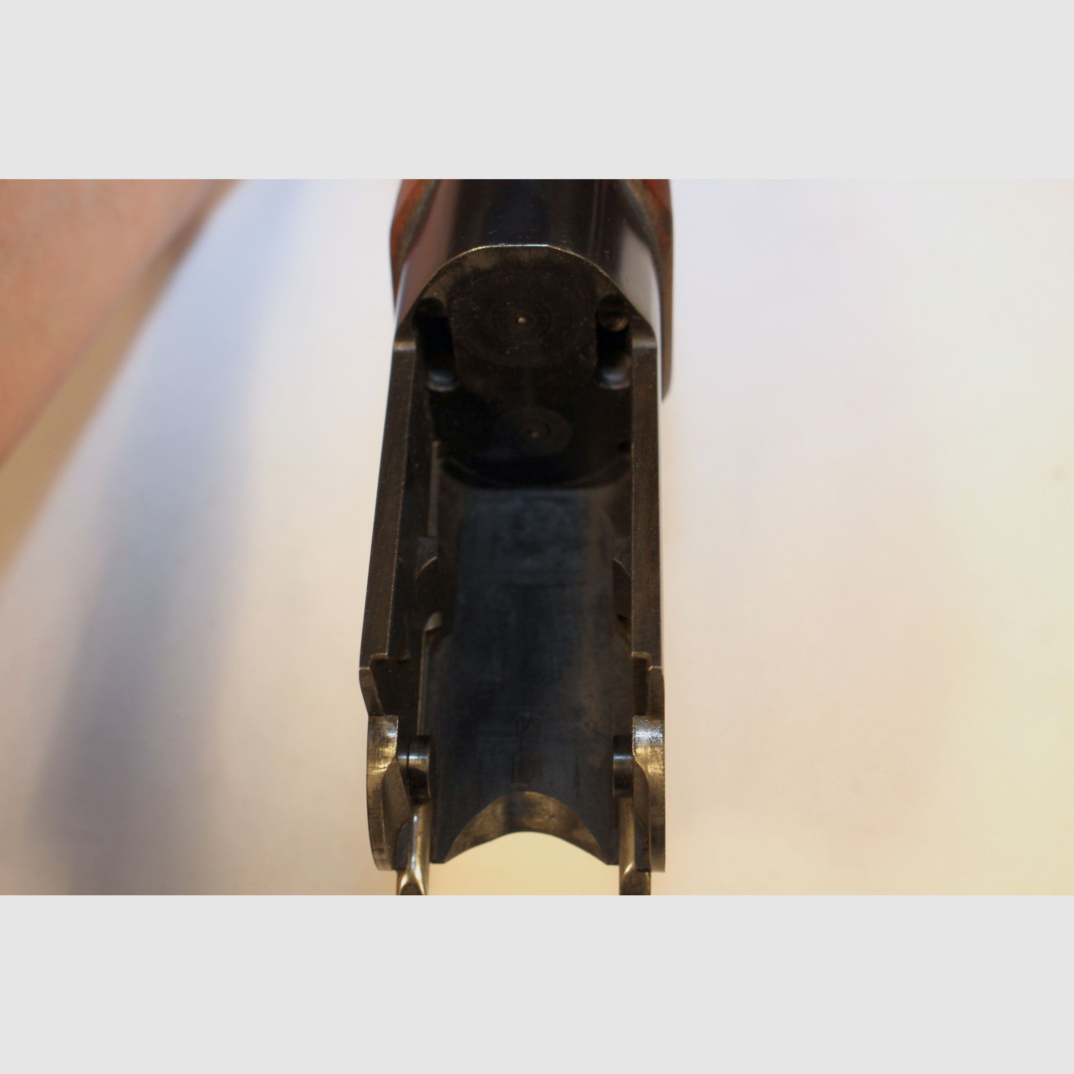 Brno Arms BBF für den Drückjagd-  Durchgehschützen in 12/70 und 7x65R.
