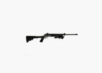 A. Rossi Pomba Swat Cal. 243 Winchester
