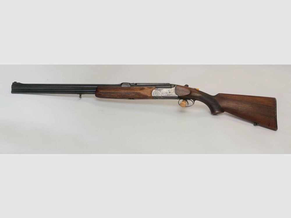 Sabatti Schwenkmontage