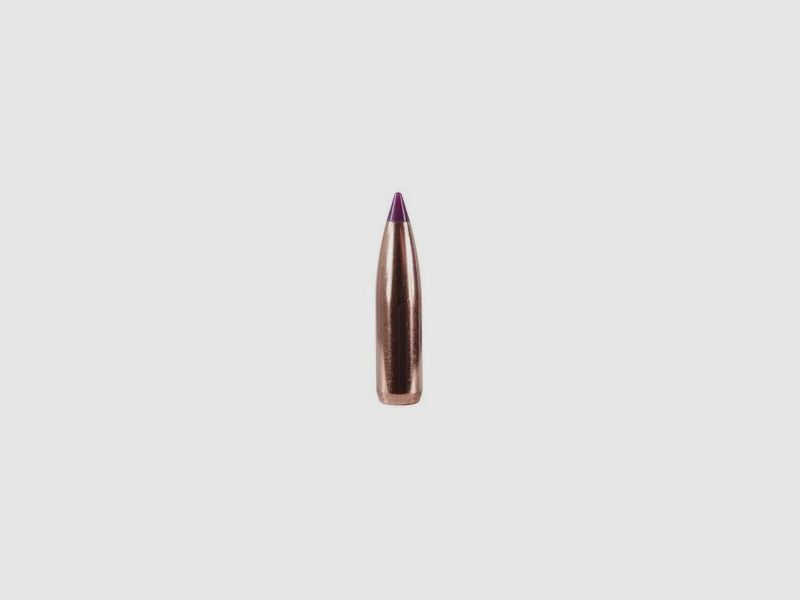 Geschosse Kal. 243/6mm-090-Spitzer Nosler Ballistic T