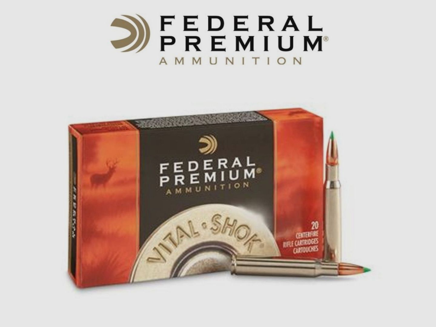 BULLET FEDERAL PREMIUM 30-06 SPRINGFIELD 165GR NOLSER BALLISTIC TIP, Bild 1 von 2