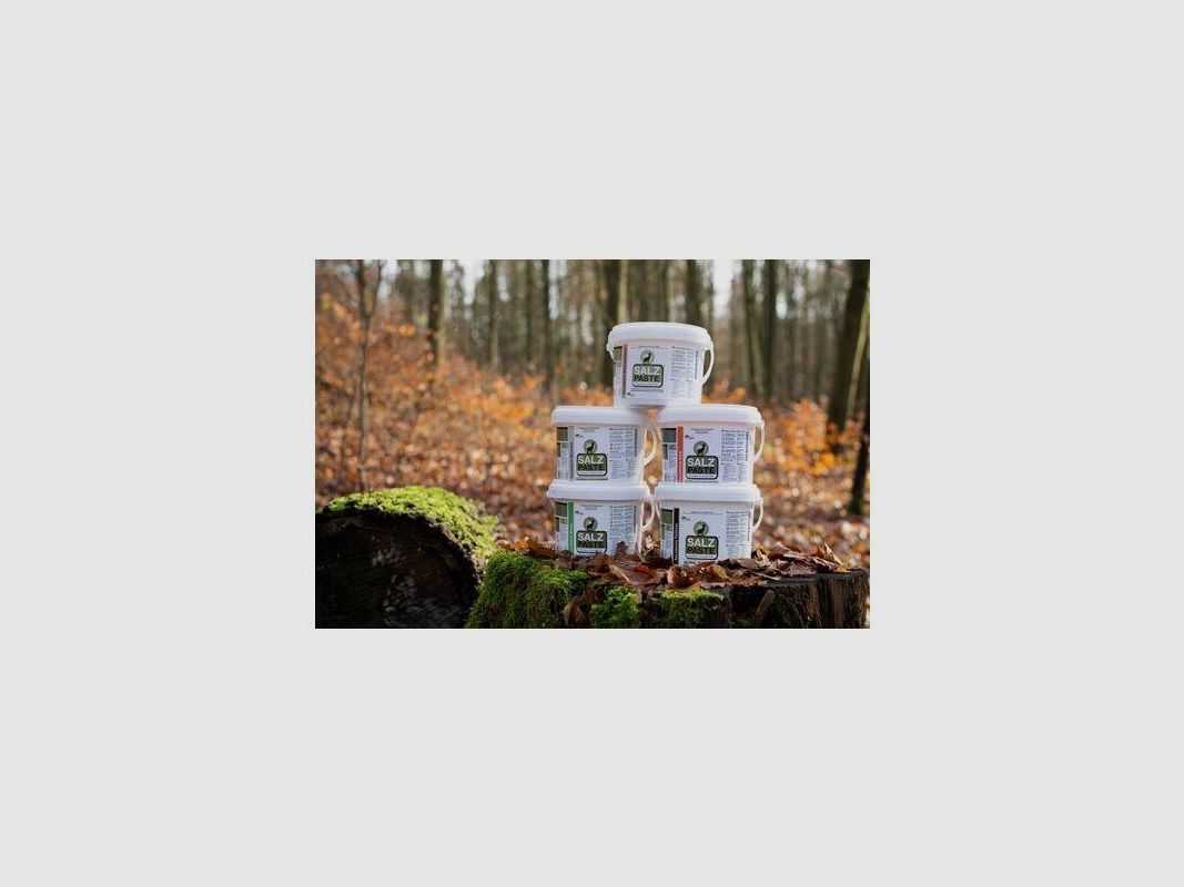 Salt paste anise 2Kg