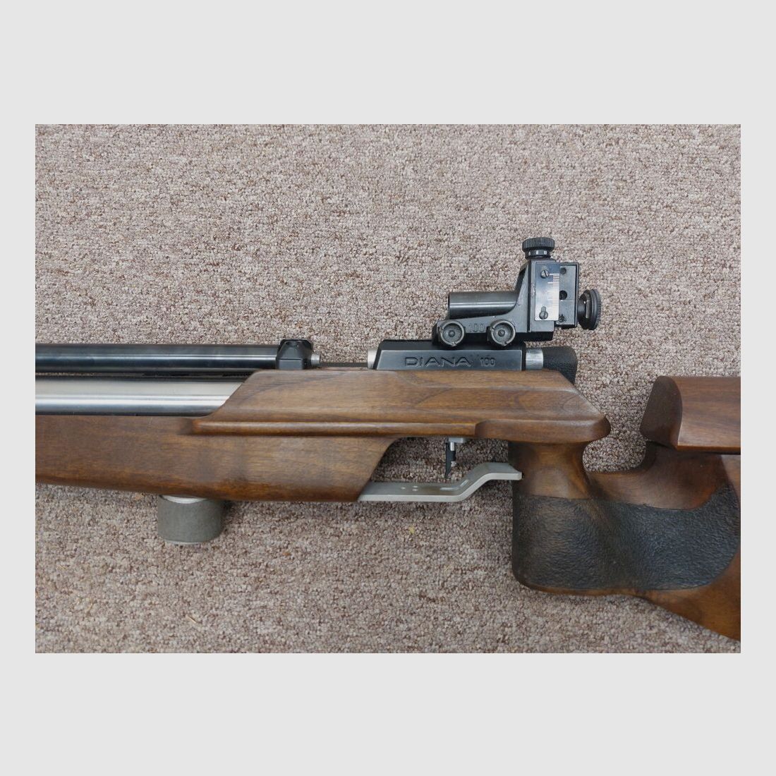 Diana 100