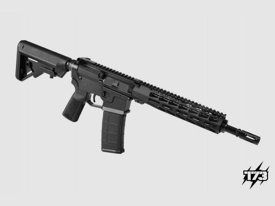 Tactical 73 AR 15, image 1 sur 4