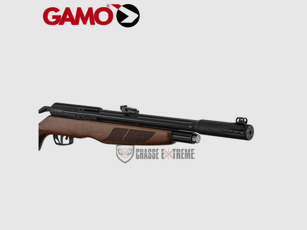 PCP Rifle GAMO Riser Punisher 40 Joules Cal 5.5 mm, image 3 of 7
