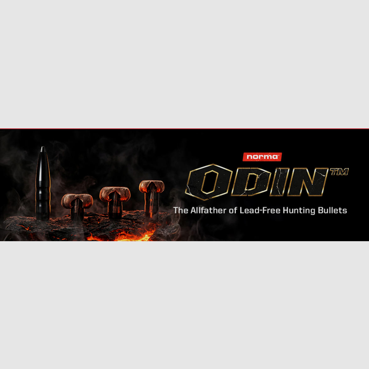 30.06 Odin 11,7 g / 180 grs, immagine 2 di 4