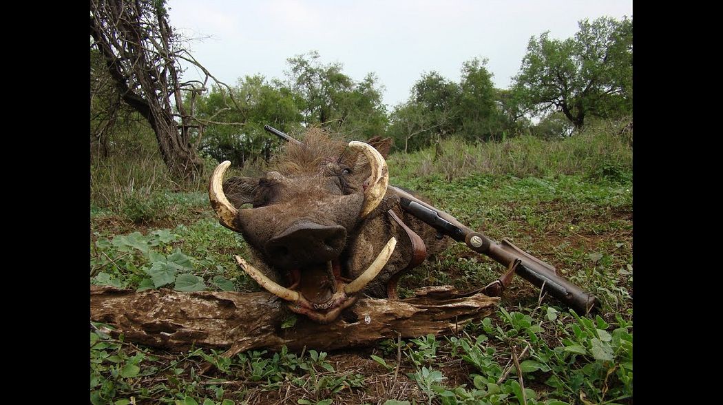 Best of hunting in Africa - Top10 Shots - part1 - Selective hunt