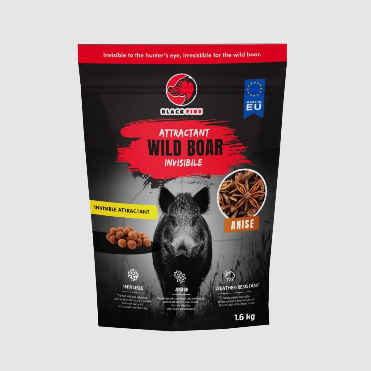 Zwarte Vuur Onzichtbaar Wild Zwijn