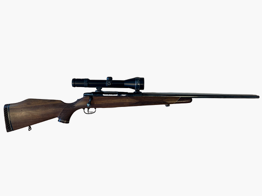 Rep. Büchse Sauer 80 cal. 243. Rem con ZF Zeiss Diavari 2-10x50T + silenziatore Roedale Hybrid 47XK