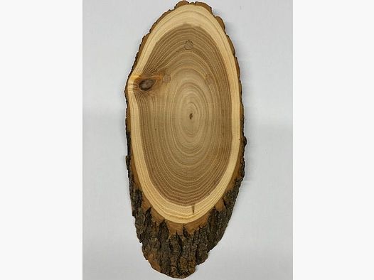 Wappenschilder 24cmx10cm