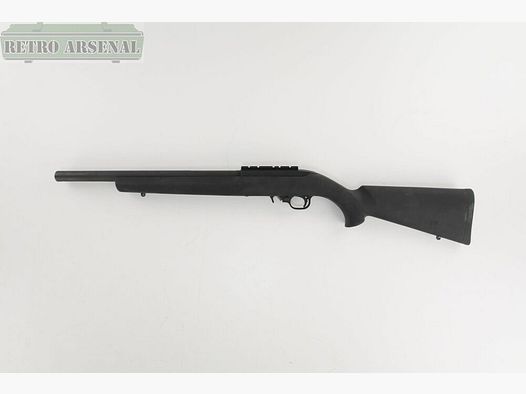 Ruger 10/22