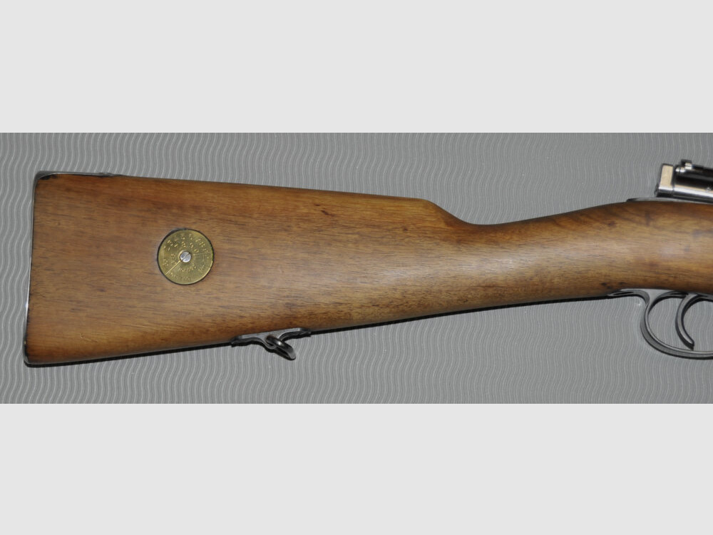 Carl Gustafs M 96