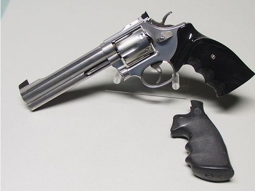 Smith&Wesson Target Champion