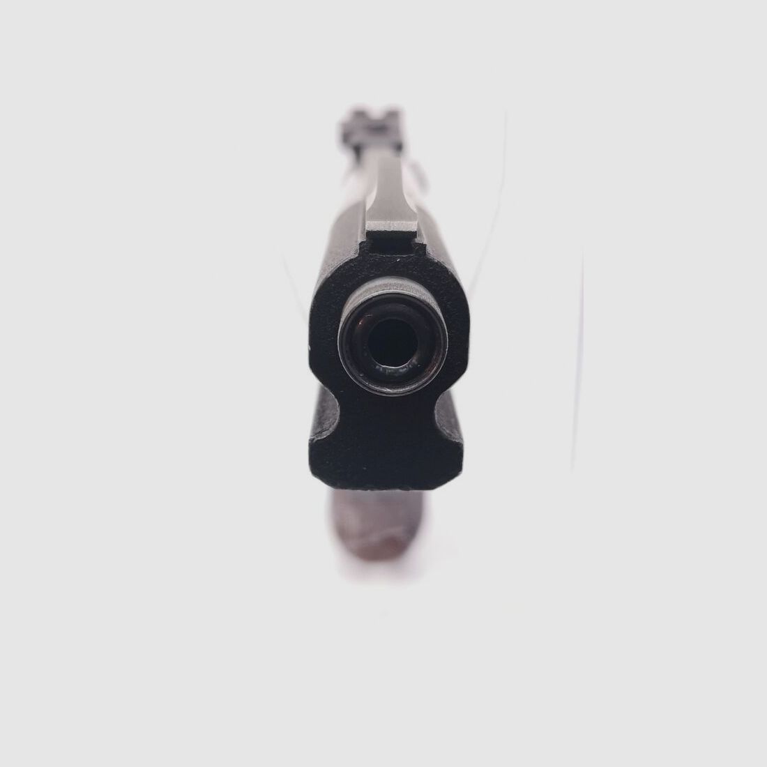 Walther PP Sport