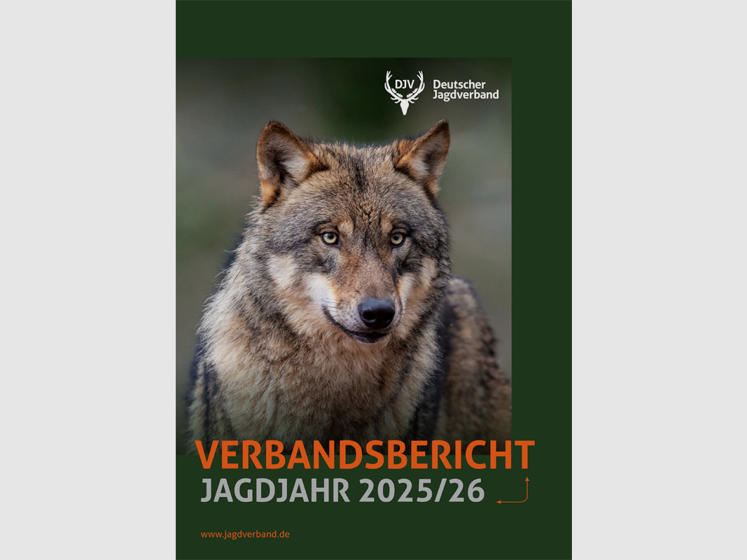 DJV Association Report 2025/2026