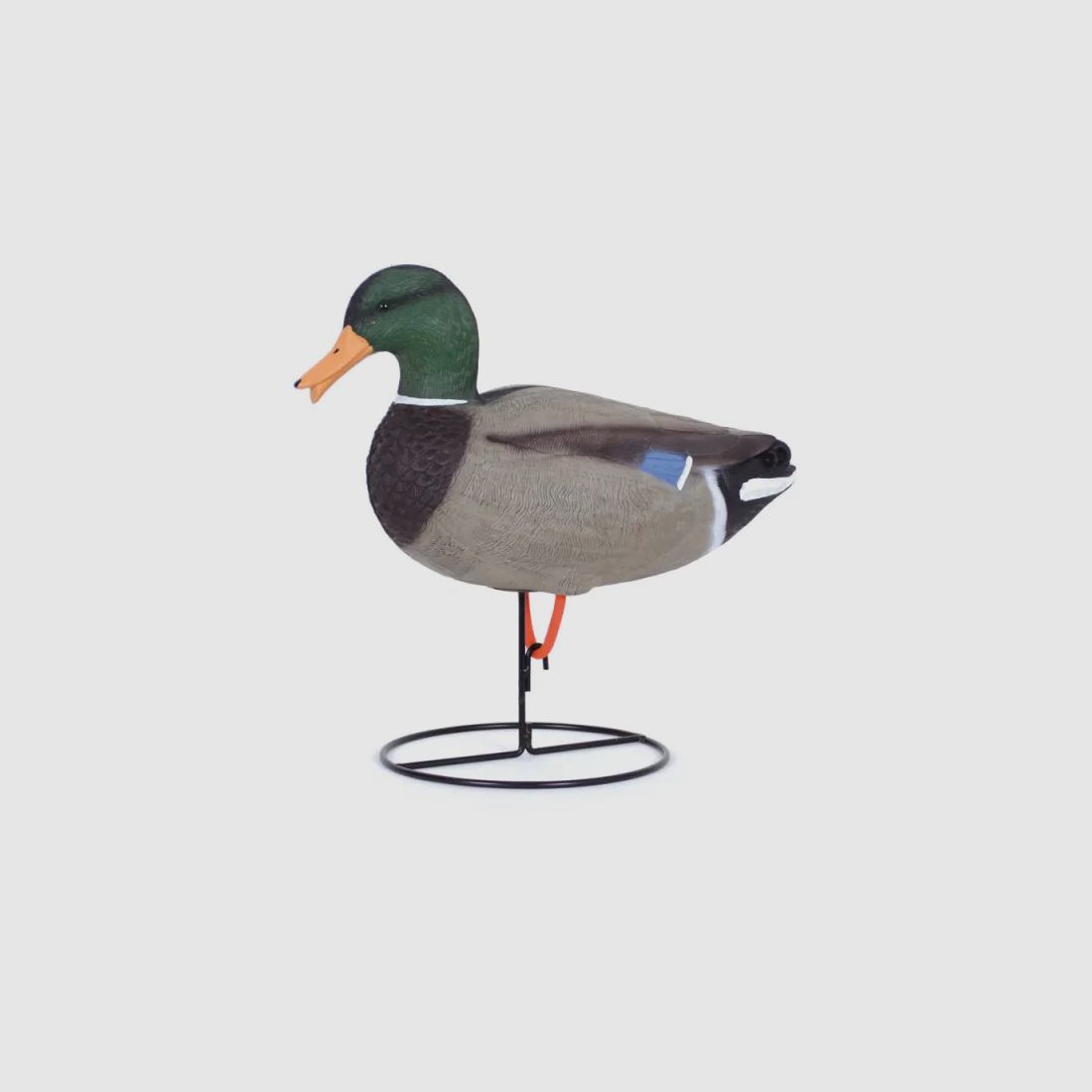 Appelant colvert mâle cou droit sur pied en acier, image 1 sur 4