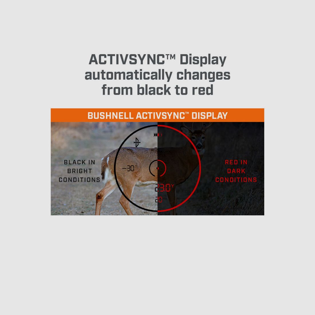 Bushnell Fernglas Fusion X 10x42 mit Entfernungsmesser und Activsync Display