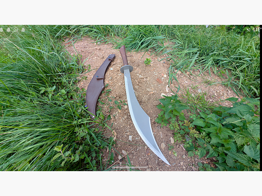 Curved saber/scimitar by Condor