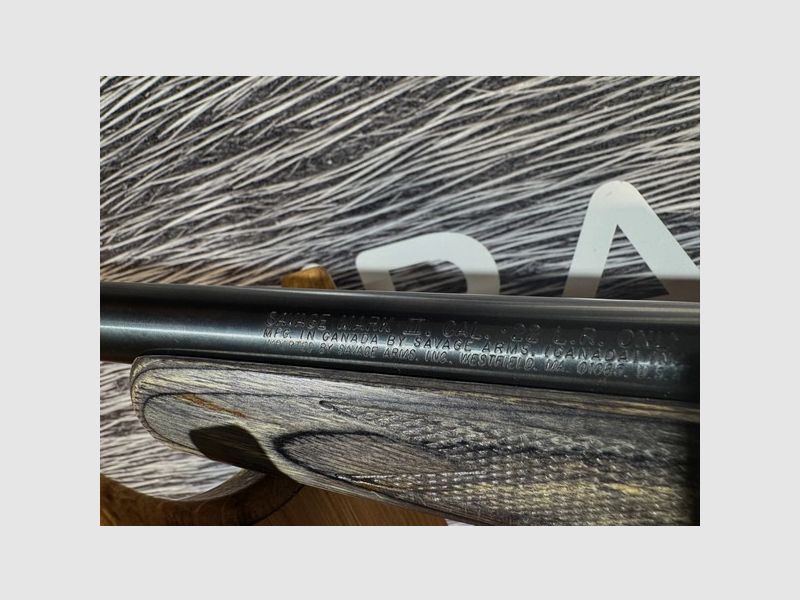 Savage Mark II; RWS 3-9x40