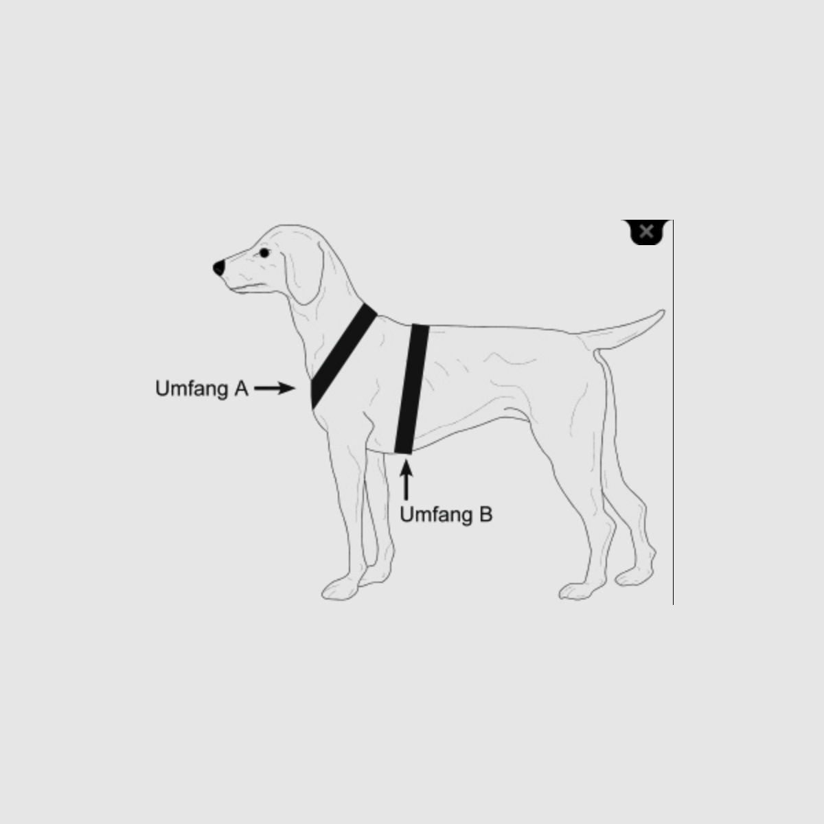 NIGGELOH dog harness Follow Light Brown