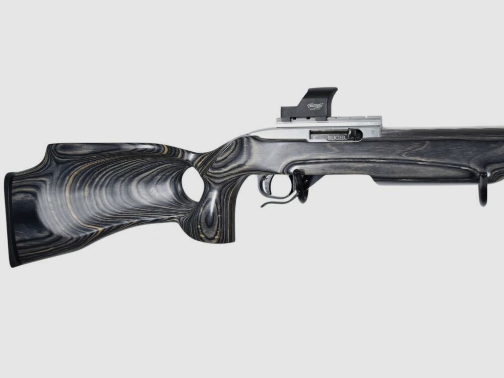 Ruger 10/22