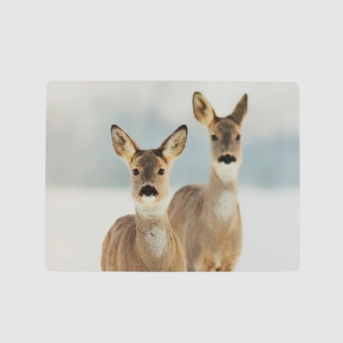 LivingActive Tischset 2 Rehe 30x40 cm - 4 Stk.