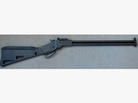 CZ / Springfield M6 Scout