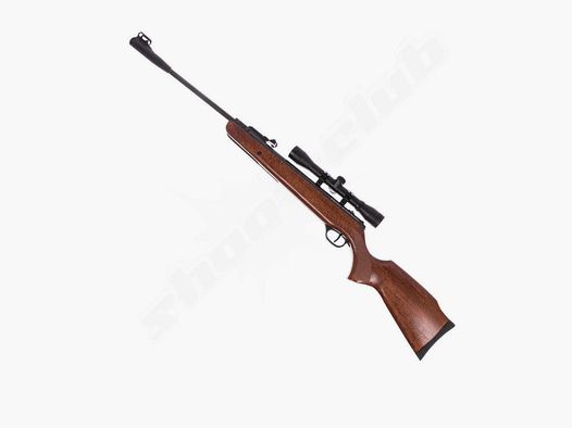 Carabine à air RUGER