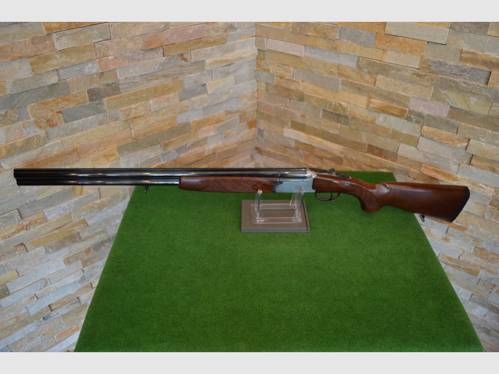 Rottweil 580 Jagd