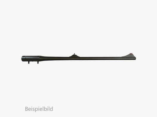 Blaser WL R8