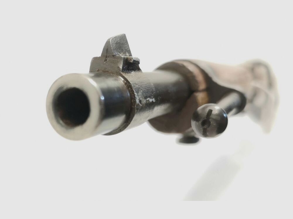 Steyr Mannlicher 1895